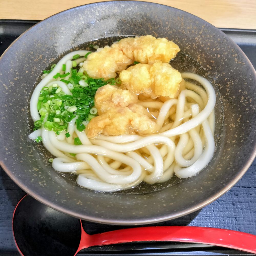 山下本気うどんの鶏天うどん
