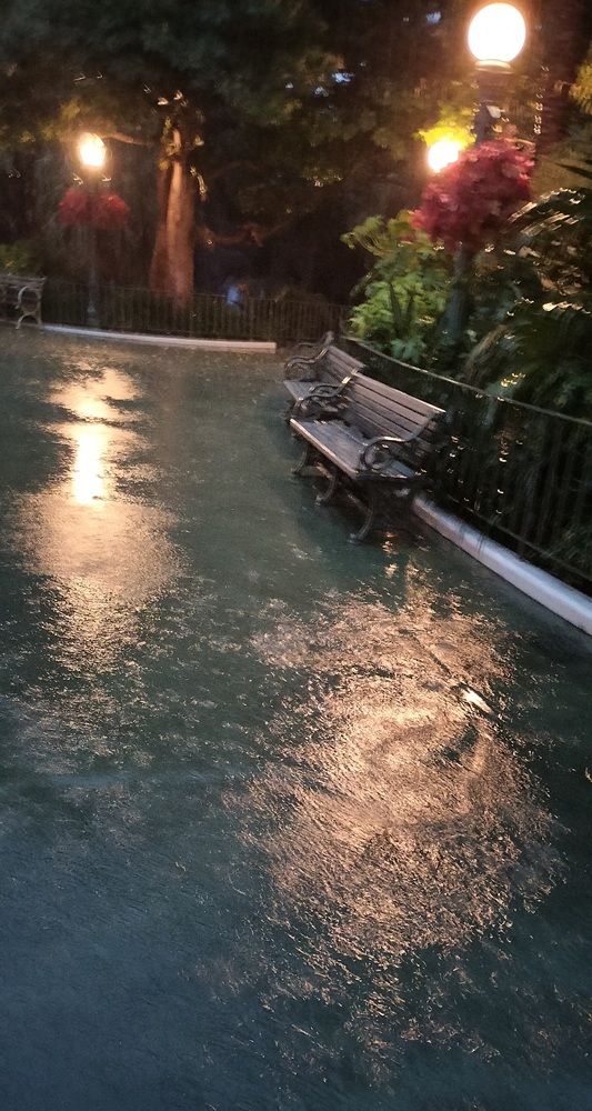 豪雨の東京ディズニーランド