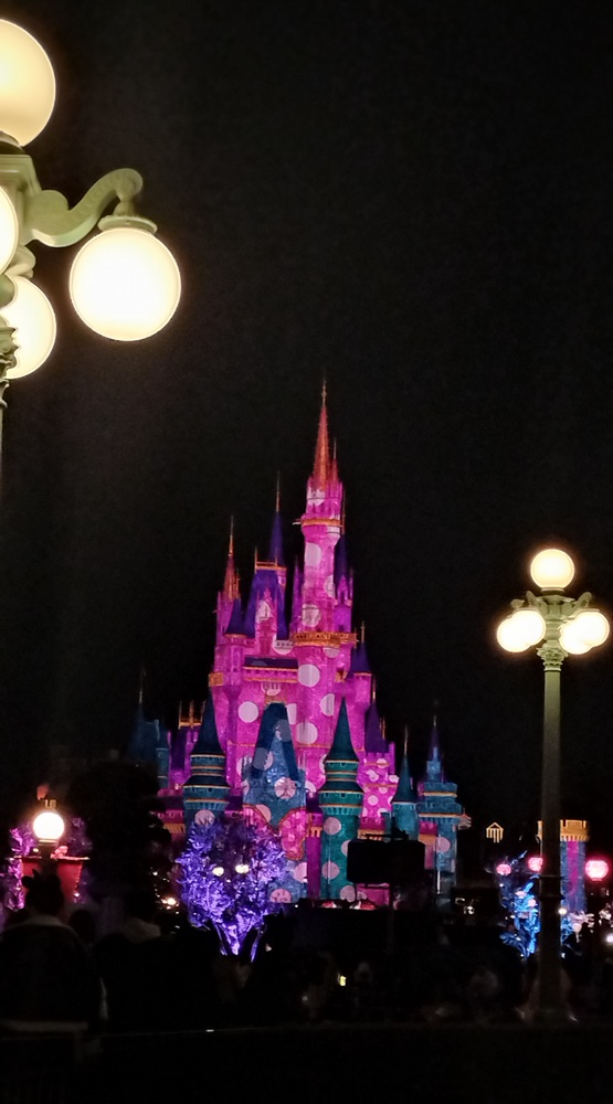 シンデレラ城の環境演出のファンダーナイト