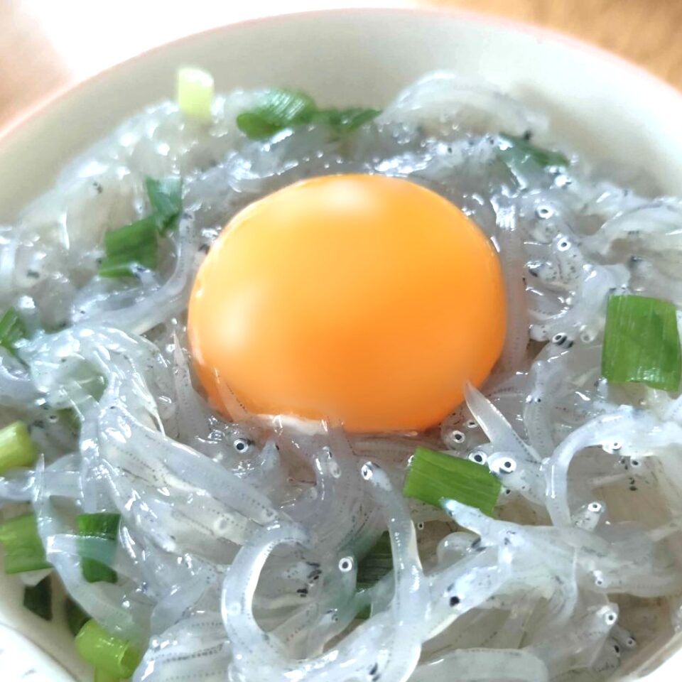 自家製の生しらす丼